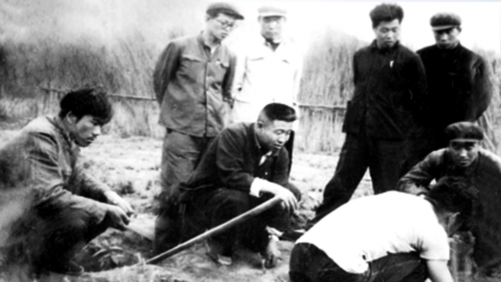 王尚海(左三)和职工一起研究造林技术问题。(资料图)