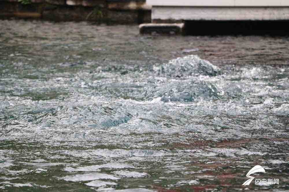 【中国红·齐鲁行】30.04米！趵突泉连涨19天，创近56年以来最高水位记录
