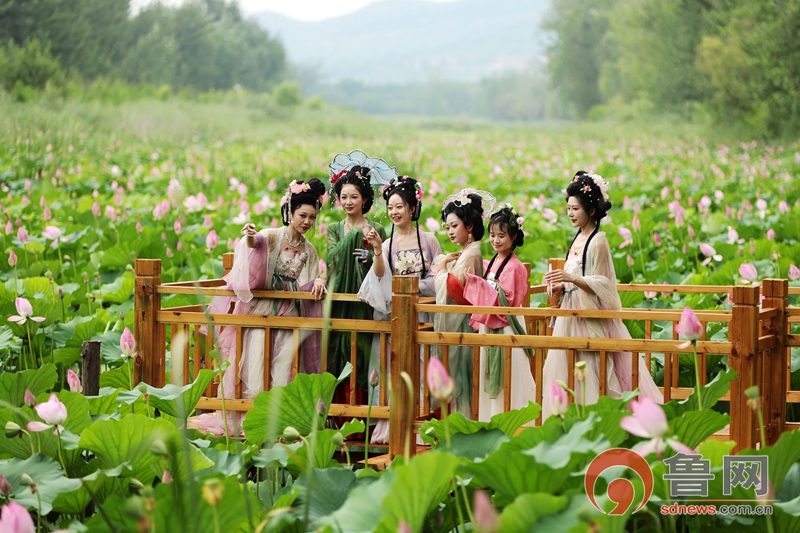 第二十届中国（滕州）微山湖湿地红荷节暨中华善城招商大会盛大开幕