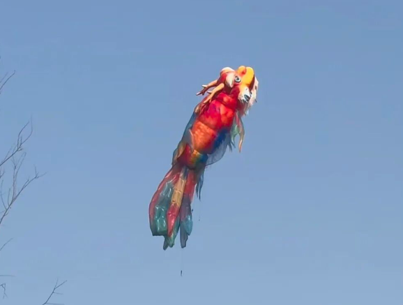 从鳌鱼事件看文旅：守住烟火，接住惊喜