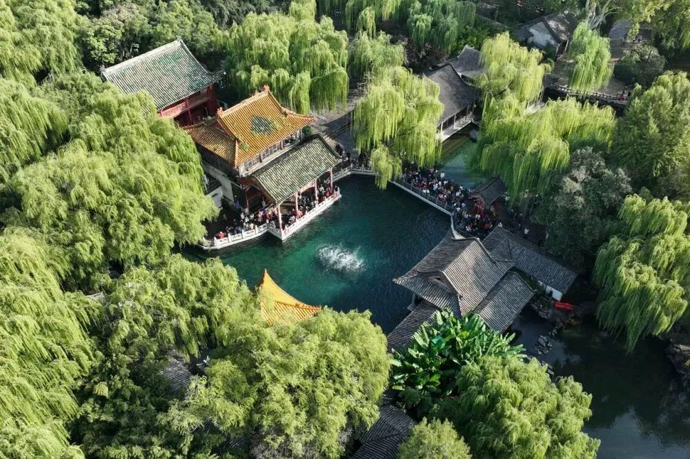 “济南，你太好了”