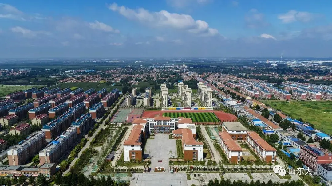 大王镇三心聚力一盘棋为民服务解难题