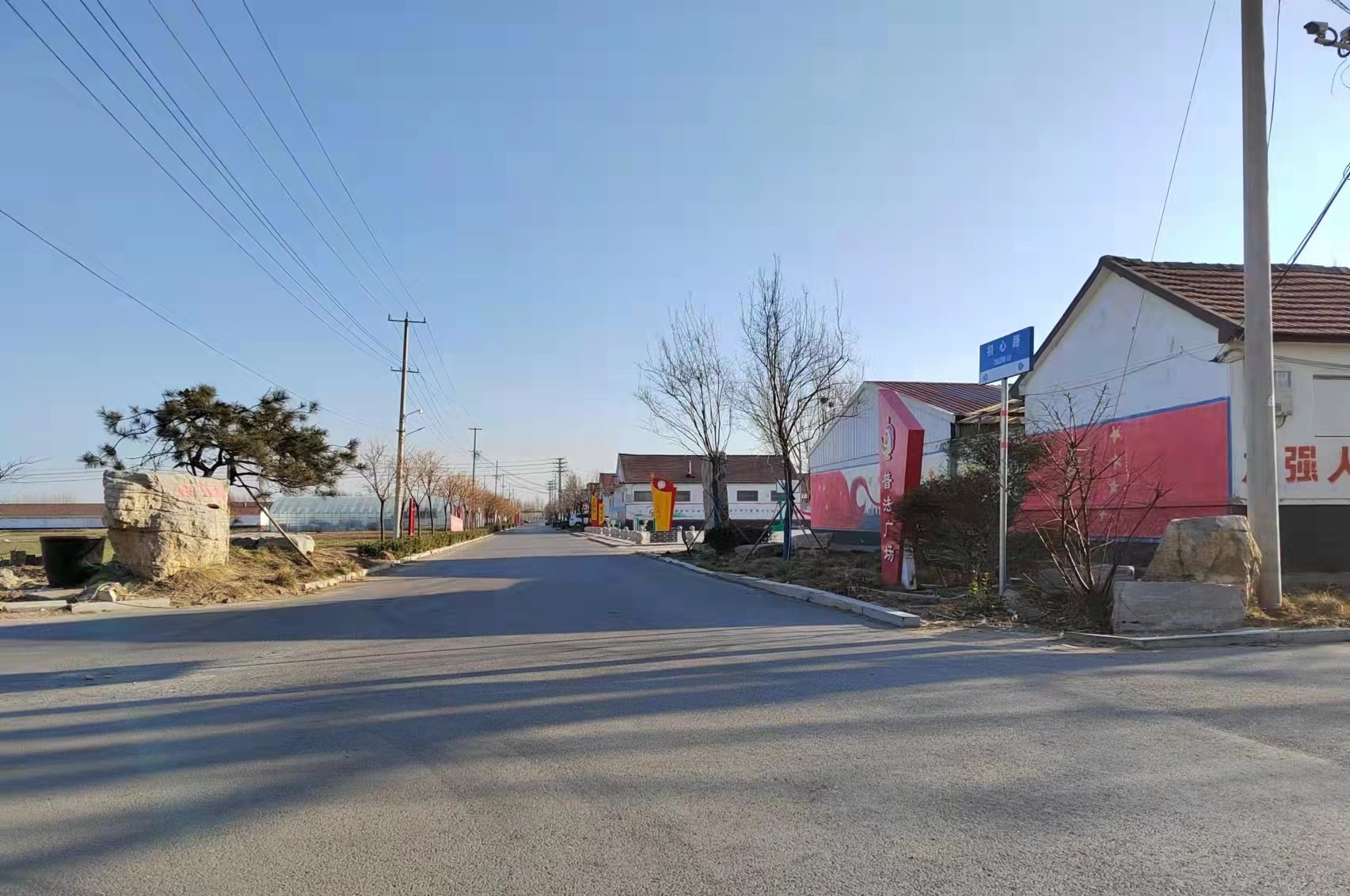 潍坊高密姚哥庄社区落实四举措清理脏乱差实现净绿美